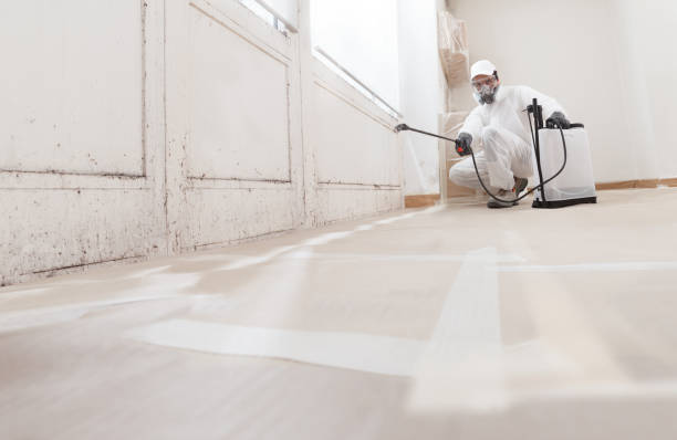 24/7 Emergency Mold Removal experts in Winburne, PA